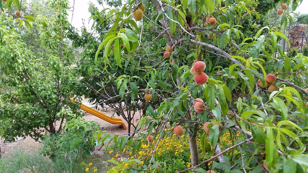 Masseria Ruri Pulcra Patù エクステリア 写真