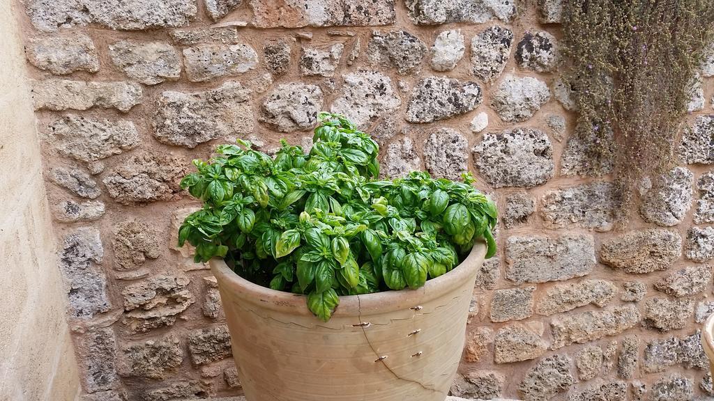 Masseria Ruri Pulcra Patù エクステリア 写真